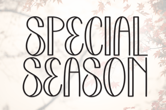 Special Season: A Font That Elevates Your Brand